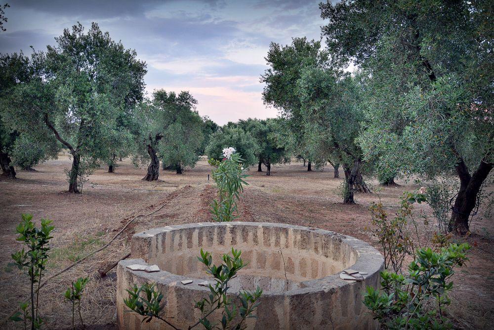 Agriturismo Molle Villa Carpignano Salentino Exterior foto